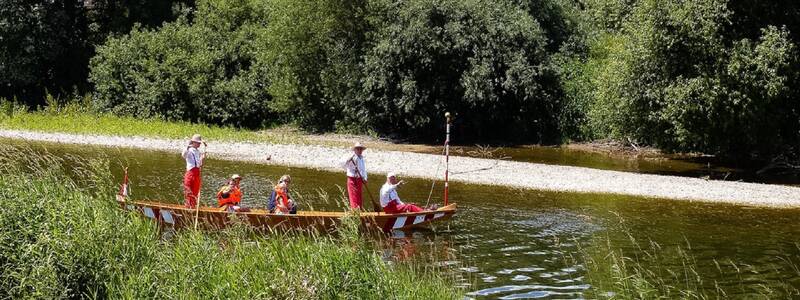 Ein Kanu fährt über die Donau, im Hintergrund sind Bäume. Sträucher und der Kirchturm Riedlingens zu sehen