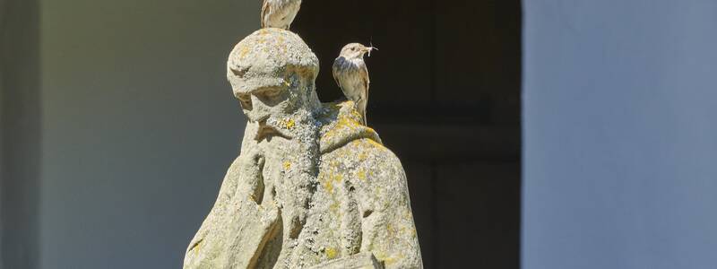 Kapuzinerkloster Mönchstatue im Innenhof