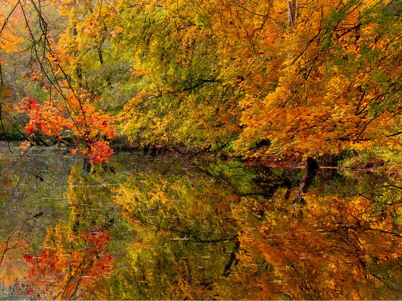 Mißmahl'sche Anlage im Herbst