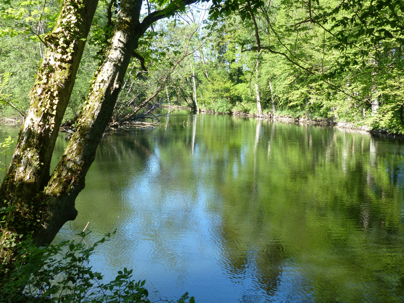 Spaziergang in der Mißmahl'schen Anlage